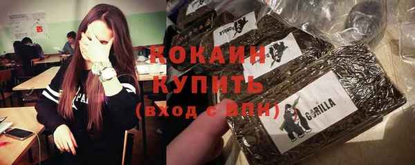 молекула духа Майский