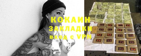 молекула духа Майский