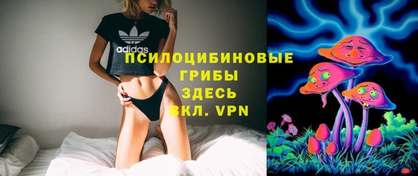 молекула духа Майский